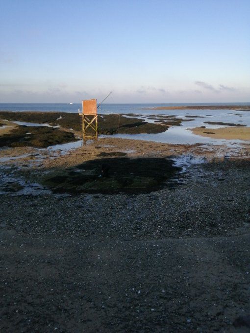 nuit avec plateau de fruit de mer du 01 mai au 10 juillet et du 28 aout au 31 septembre 2024